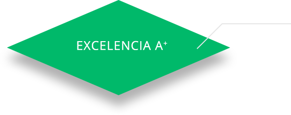 Grupo de excelencia A plus